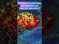 This game is a PvE MOBA #trailer #indiegames #coop #coopgaming #moba
