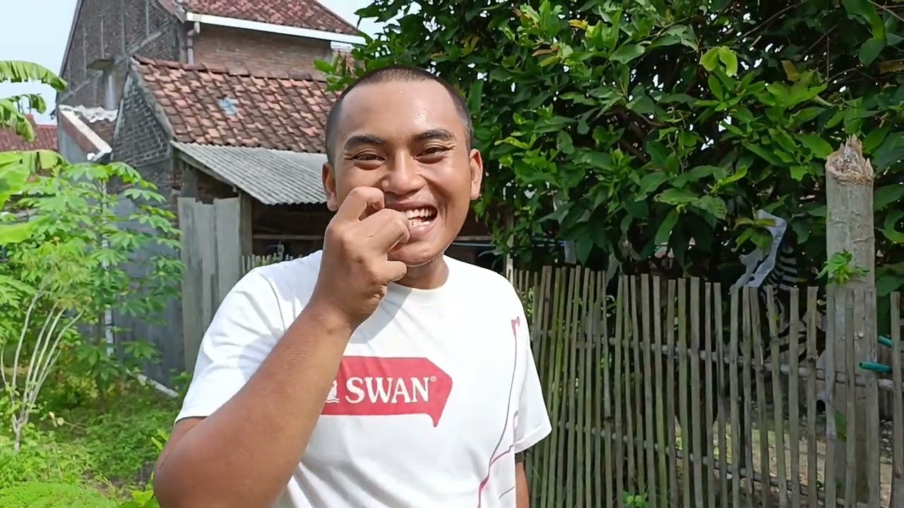 Membuat hutan pangan belakang rumah