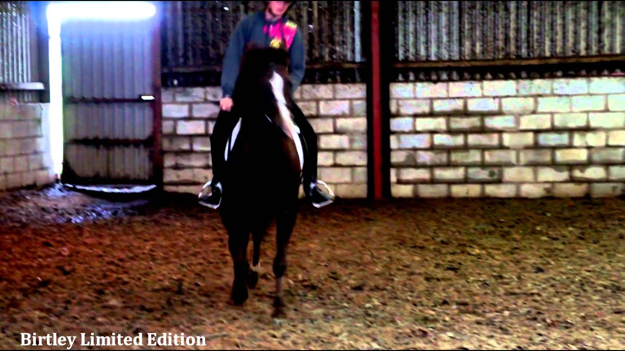 Birtley Limited Edition FOR SALE YouTube