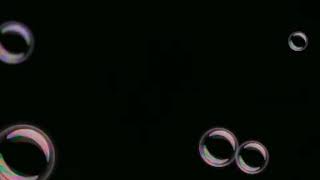 Bir Balik Bir Kuşa Aşık Olur