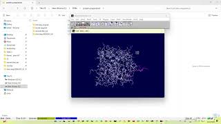 Energy Minimization of proteins (Swiss PDB viewer)