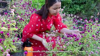 The Story Behind ANNA Garden