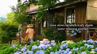 time slows beneath leafy shade - /asmr relaxing music playlist/