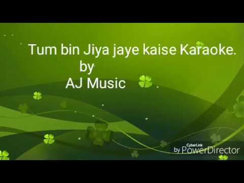 Tum Bin jiya jaye kaise Karaoke with lyrics Tum Bin  Karaoke of Tum Bin