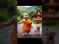 Little monk so cute viral shorts cutebaby littlemonk foryou trending