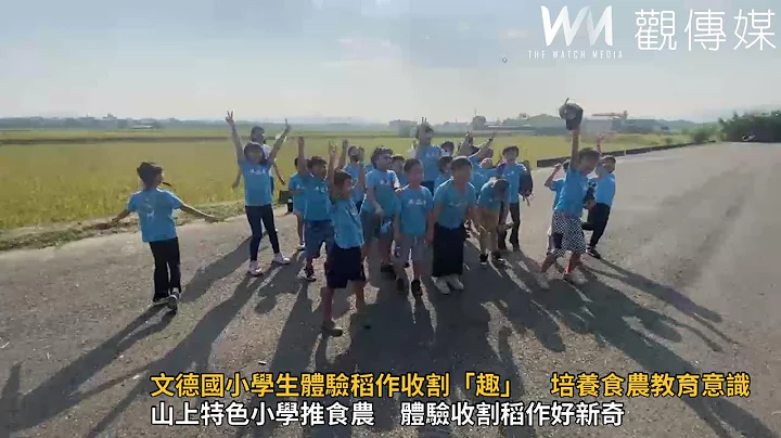 文德国小学生体验稻作收割“趣”　培养食农教育意识 - 天天要闻