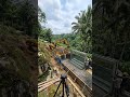“Building a Glass-Edge Jungle Infinity Pool  | Hidden Paradise Transformation”
