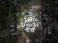 ジャングルなワンルーム完成！#観葉植物 #shorts