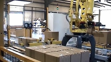 Case Palletizing Robot Cell | Remtec Automation