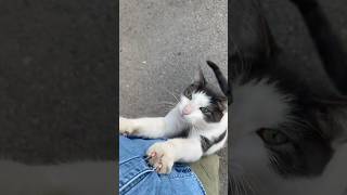 Anne Çuko Yaramazlık Yapıyor