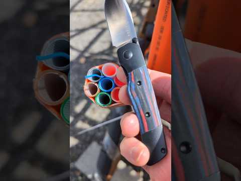 Check out the Colors!  