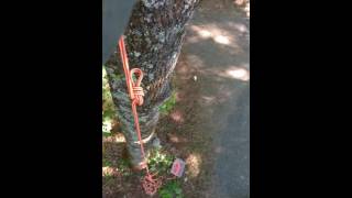 Descent on blake's hitch