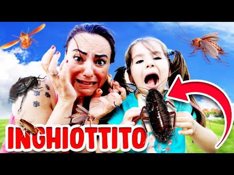 Video: Un insetto di giugno è uno scarafaggio?