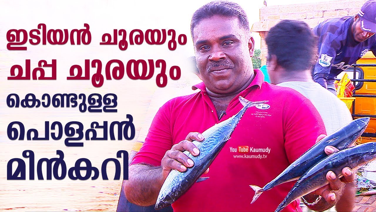 ഇടിയൻ ചൂരയും ചപ്പ ചൂരയും കൊണ്ടുള്ള പൊളപ്പൻ മീൻകറി | YUMMY KERALA TUNA FISH CURRY | Ente Kadal kootu