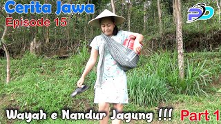 Wayah E Nandur Jagung Part 1  Eps 15  Cerita Jawa