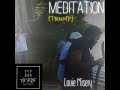Louie misery  meditation trump thetribe