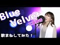 ブルーベルベット/工藤静香 [ものまねで歌ってみた！]
