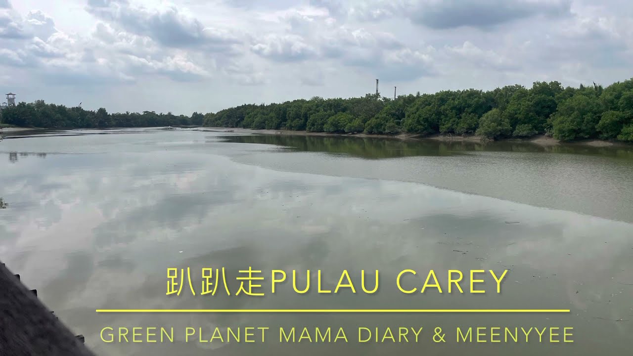 PULAU Carey half day Trip # seafood 