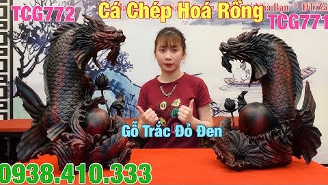 Tượng Cá Chép Hoá Rồng Gỗ Trắc Đỏ Đen Đẹp Xuất Sắc | Tượng Gỗ Độc Đáo