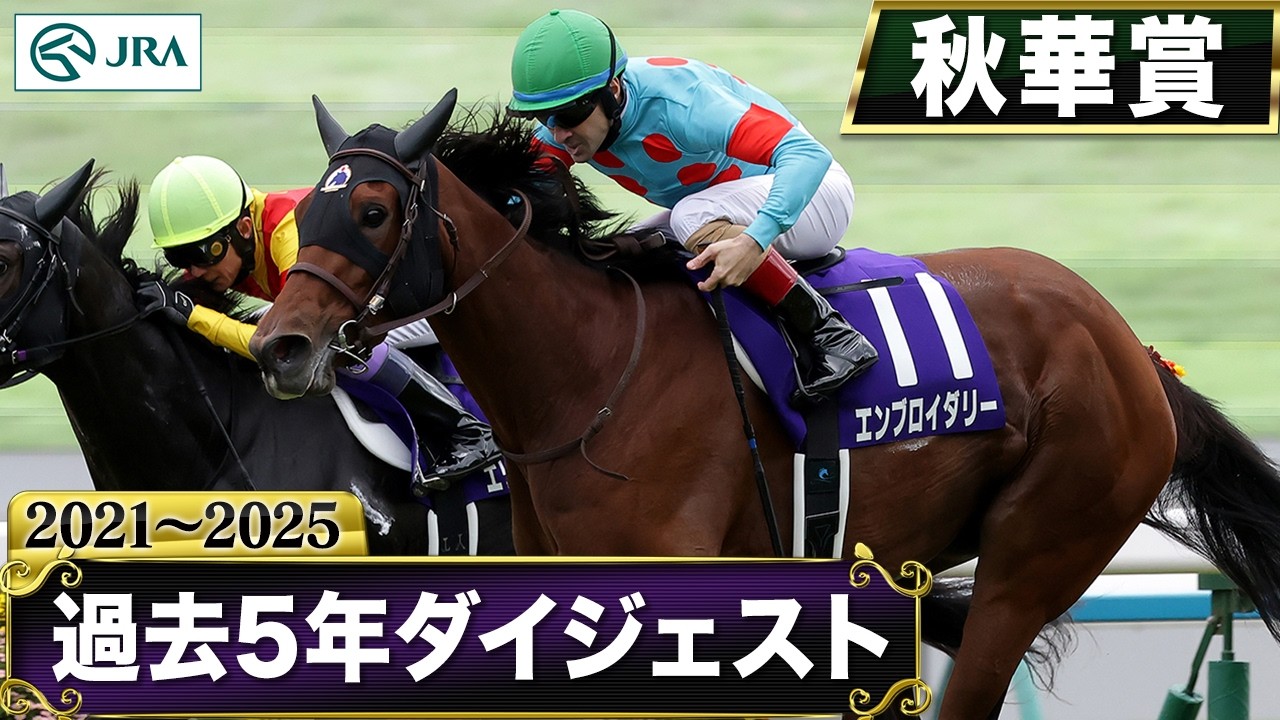 東京11レース予想2026最新攻略！コース傾向と激走穴馬の好走条件を徹底解説