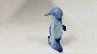 Transformation Of The Dolphin