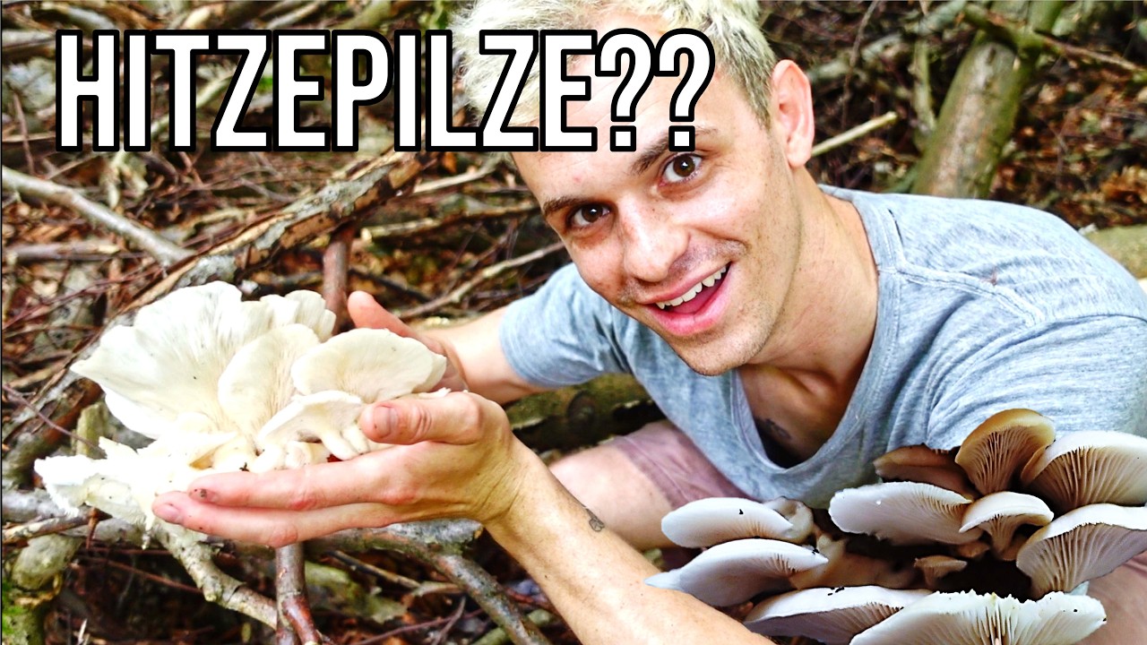 ZU VIELE PILZE im HOCHSOMMER! (Pilze sammeln 2025)