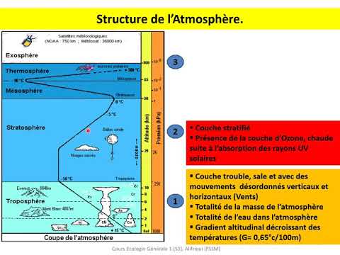 Vidéo: Facteur limitant la vie des organismes : lumière, eau, température