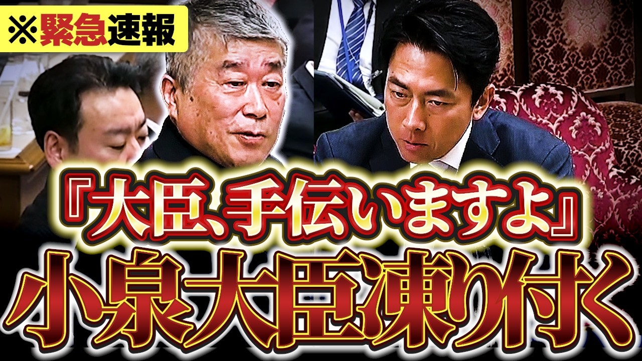 【最新国会】「大臣、手伝いますよ」伊勢崎議員による圧巻の質疑!! どちらが大臣かわからない…【伊勢崎賢治】【れいわ新選組】