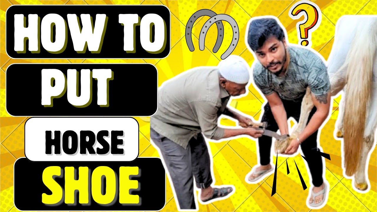 ಕುದುರೆ ನಲ್ (shoe) ಹೇಗೆ ಹಾಕುವುದು #horse #dbossfan #viral #horseracing #horseriding #horselifestyle 