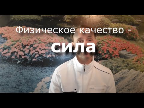 Сила - разбираем физическое качество