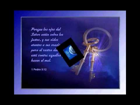 JOSMAR HA VUELTO A BRILLAR EL SOL. - YouTube Music