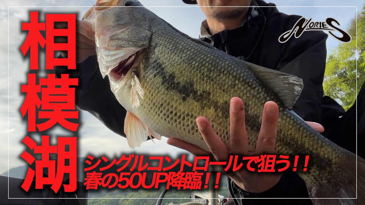 【釣り】春の相模湖で狙うBIG ONE！シングルコントロール炸裂【バス釣り】