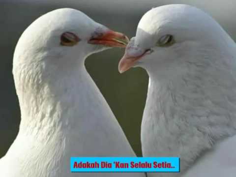 Iwan Fals - Kumenanti Seorang Kekasih (Lirik)