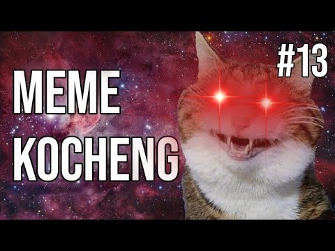 kocheng-gajelas!-meme-kucing-#13