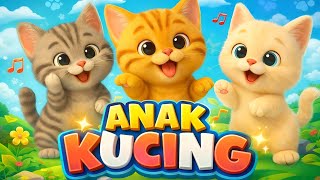 LAGU ANAK 🇮🇩 ANAK KUCING MEONG MEONG - LAGU ANAK BALITA VIRAL