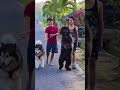 Quem tem o modelo é ele