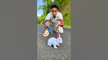 2 Rc Snake 🐍 Remote Control Rabbit Unboxing🐇