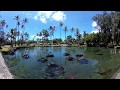 RICOH THETA V - 4K & 360° Spatial Audio Sample (Richardson Ocean Park)