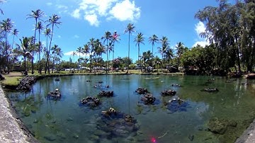 RICOH THETA V - 4K & 360° Spatial Audio Sample (Richardson Ocean Park)