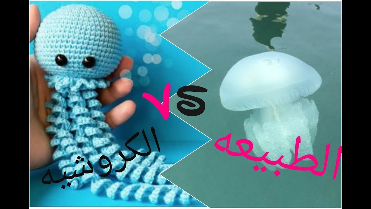 قنديل بحر في زجاجة طريقة بسيطة لعمل قنديل بحر أصنعها بنفسك Youtube