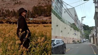 Visiting Jungkook BTS's Birthplace: An Emotional Journey in Mandeok-dong, Busan