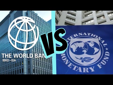 6 Perbedaan International