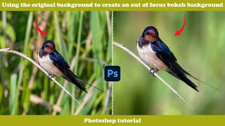 Soft Bokeh Background for Bird Photos [Photoshop] screenshot 5