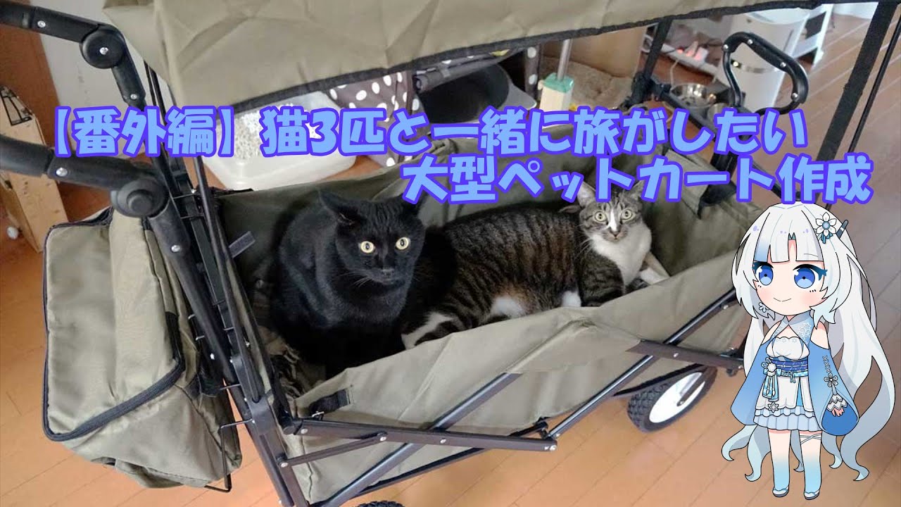 Summer Vacation Special Project] I want to travel with my three