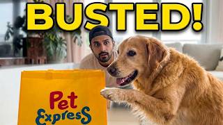 I Left My Golden Retriever Alone With a Mystery Bag...