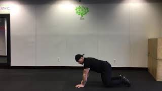 Plank Shoulder Knee Tap | Plank Variations