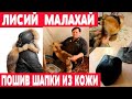 Пошив лисьего малахая из кожи  Часть 1