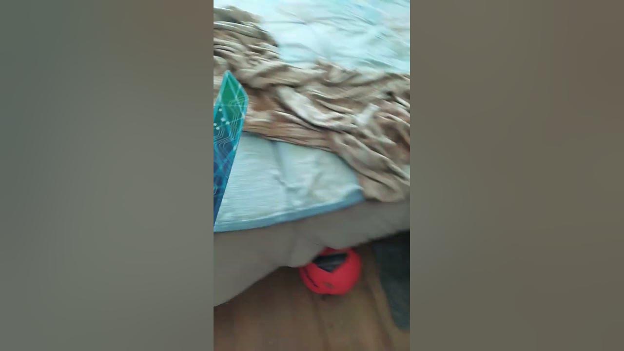 леомакс - YouTube