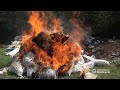 На Житомирщині поліцейські спалили у вогні наркотиків на півтора мільйони гривень