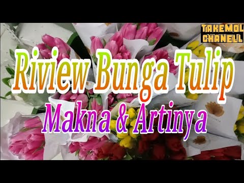 Review BUNGA TULIP Makna & Arti penjelasannya# Setiap Warnanya